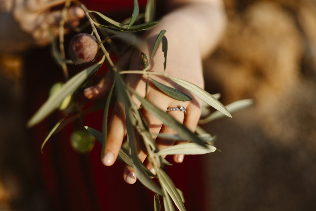 Woman's hand with engagement ring and olive branch