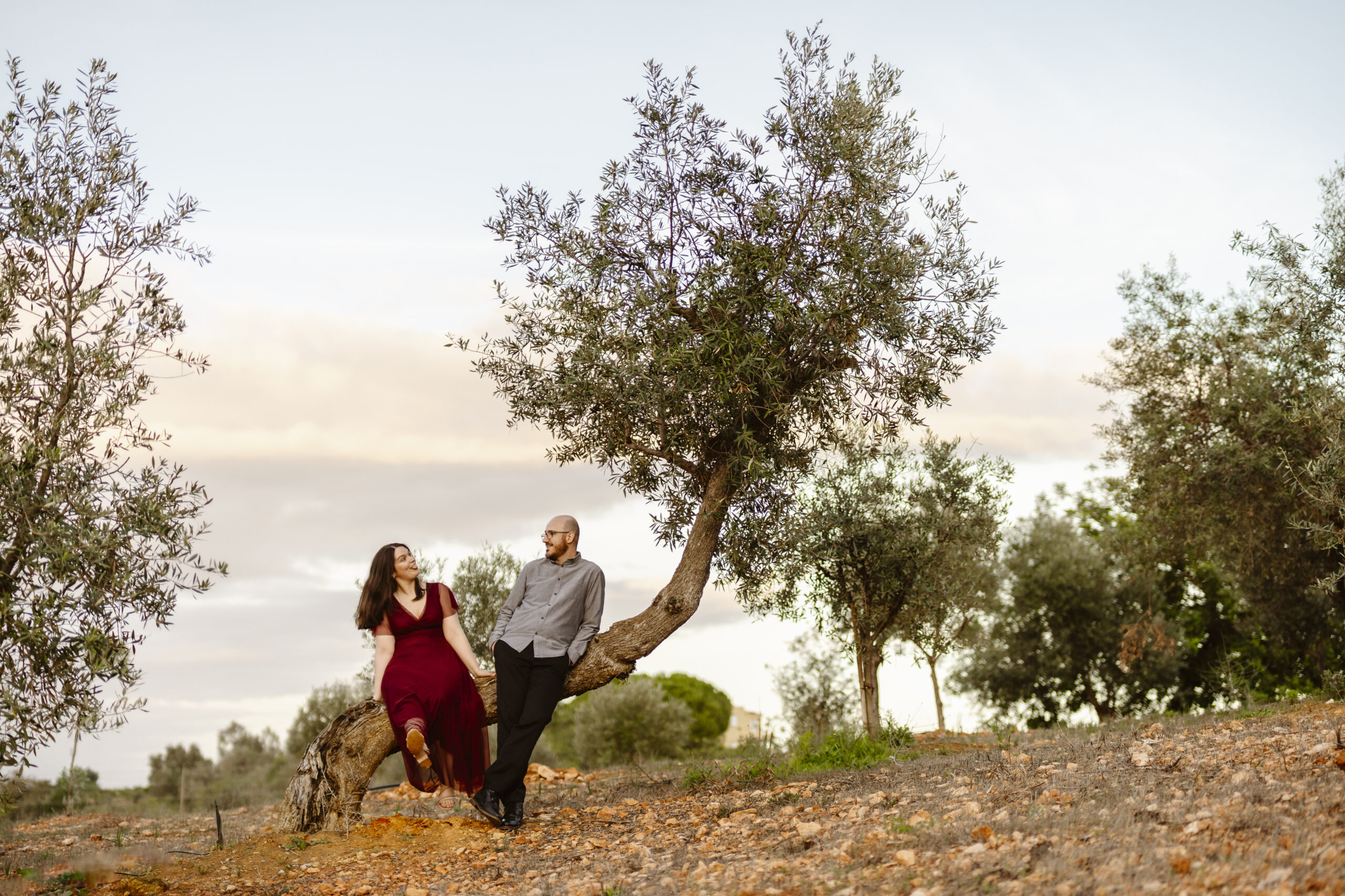 couple sitting on olive tree engagement photoshoot algarve