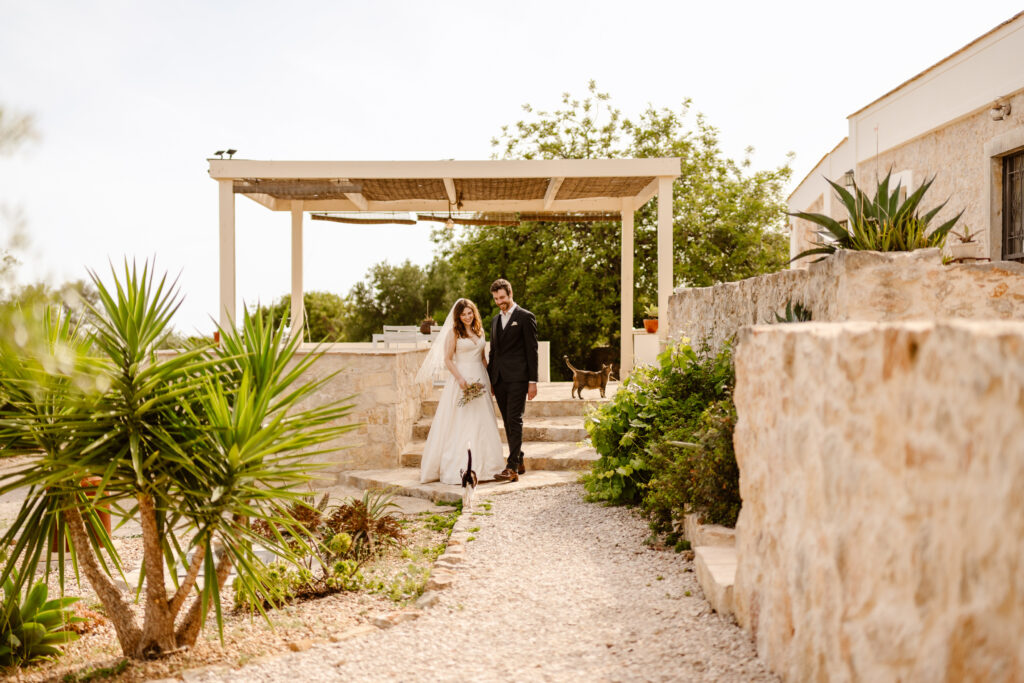 Bride and groom with cats in Loule, Portugal