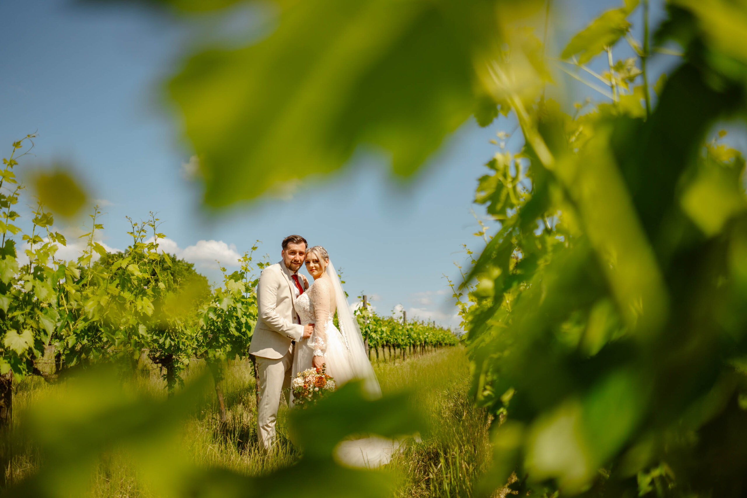 Bride and groom in the vineyard. Elopement in Italy.