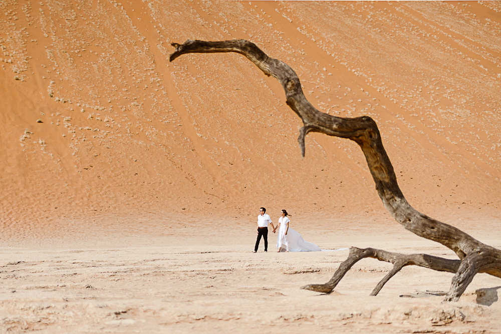 wedding session at desert picture